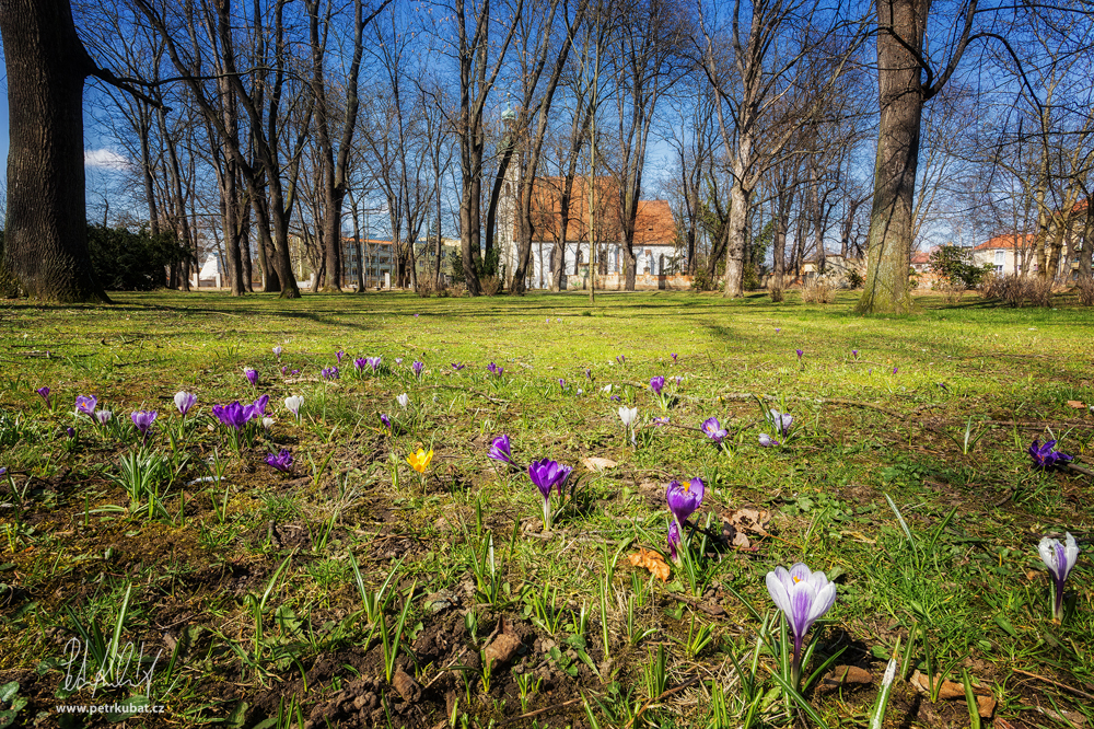 Staroměstský park