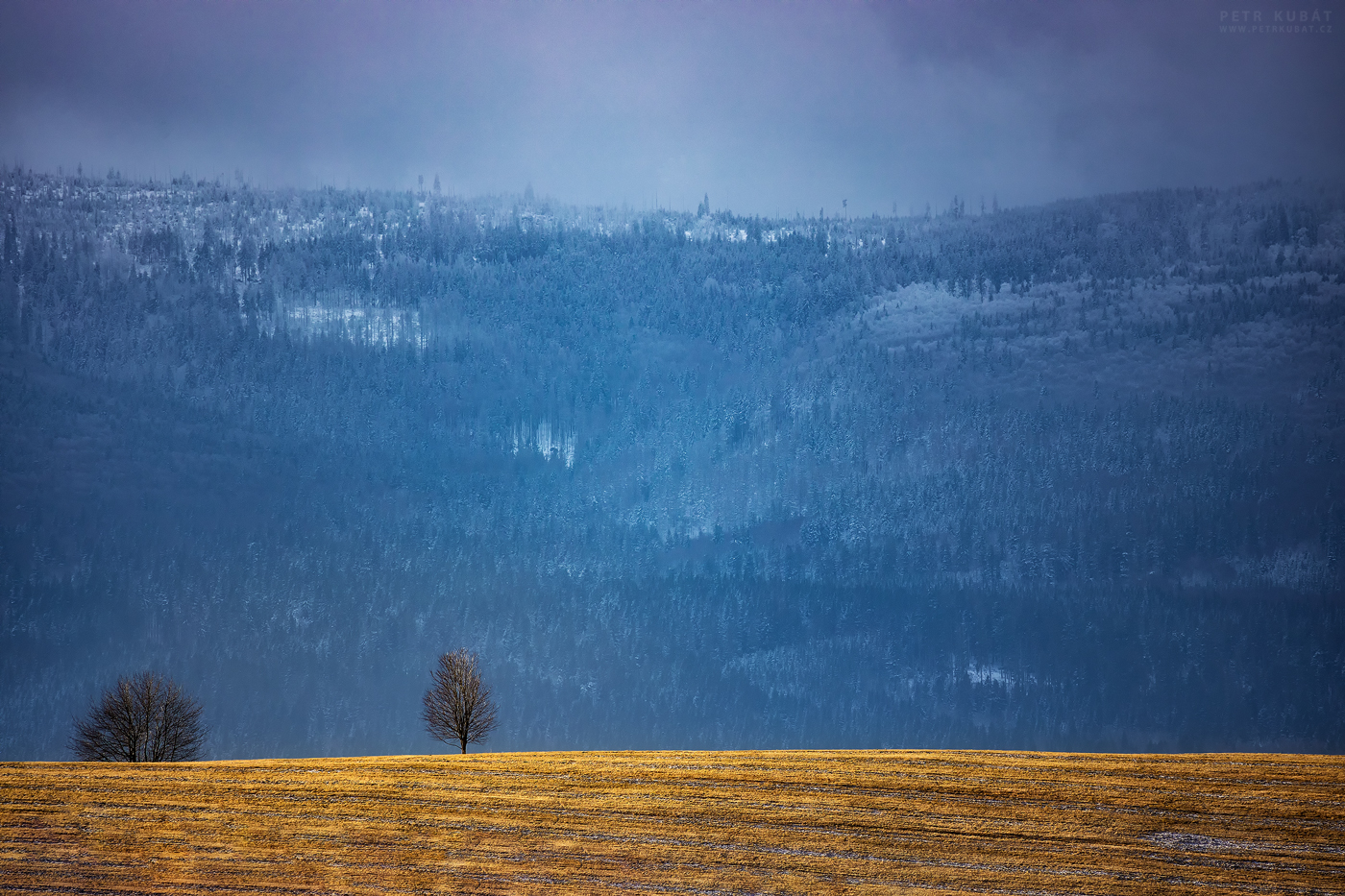 Šumavský minimalismus