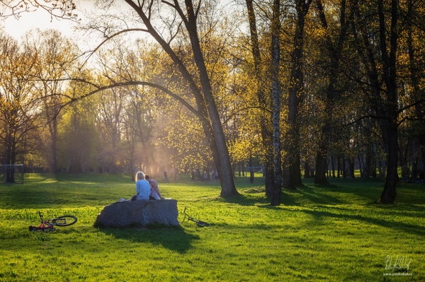 Lesopark Stromovka