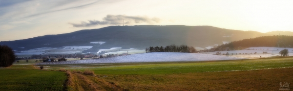 Panorama Blanského lesa