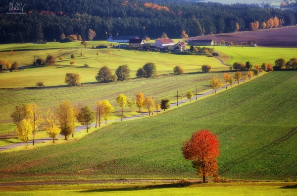 Podzim pod Brlohem