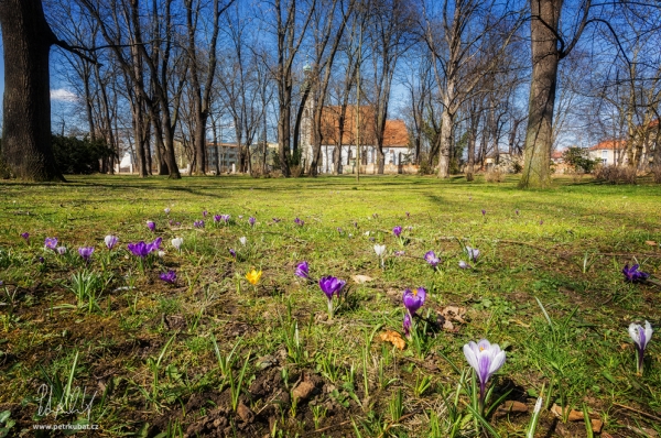 Staroměstský park