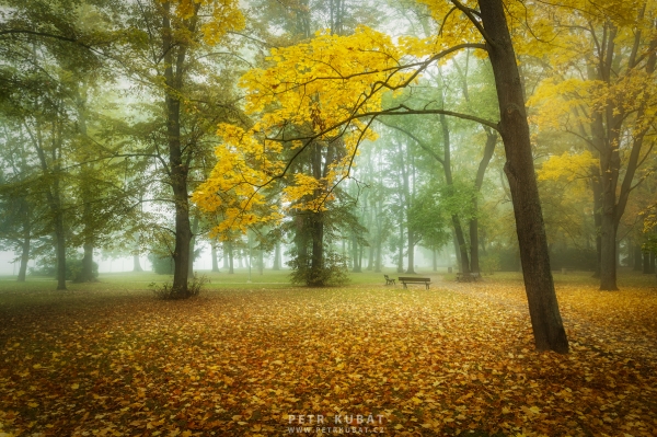 Staroměstský park