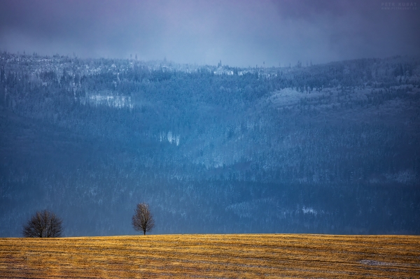 Šumavský minimalismus