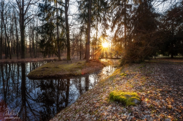 Zámecký park na Hluboké