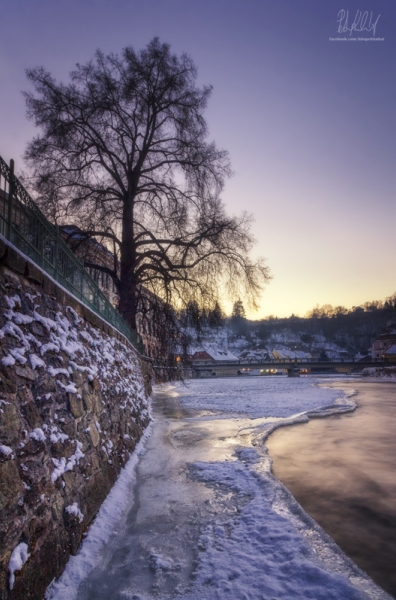 Zima u Vltavy